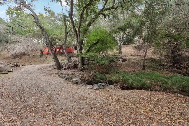 a backyard of a house with lots of green space