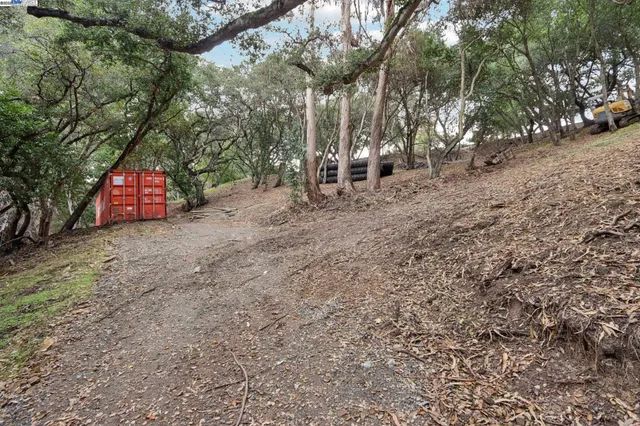 a view of a forest with trees