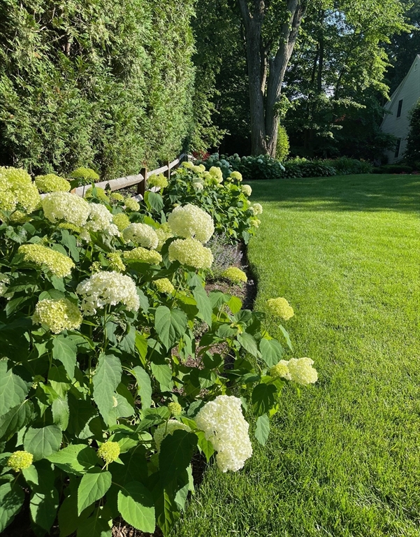 28 Tufts Road Lexington, MA 02421 - Photo 36 of 42