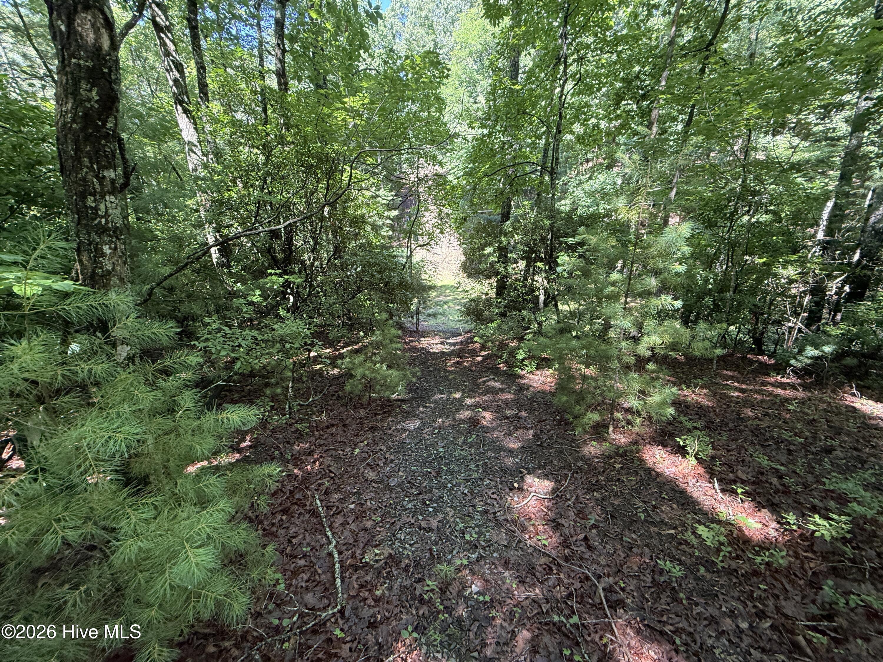 81 Roberts Road Murphy, NC 28906 - Photo 3 of 9