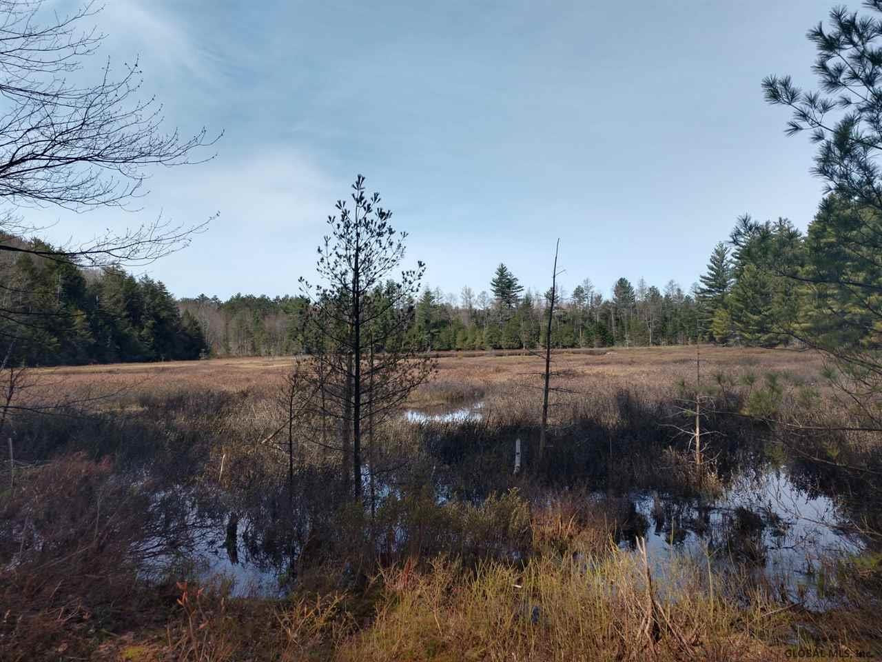 4 Rd Route 26 Lowville, NY 13367 - Photo 3 of 12 Photo 3