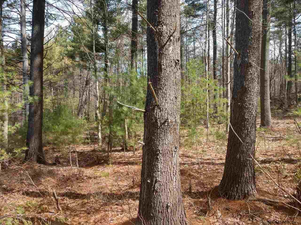 4 Rd Route 26 Lowville, NY 13367 - Photo 9 of 12 Photo 9