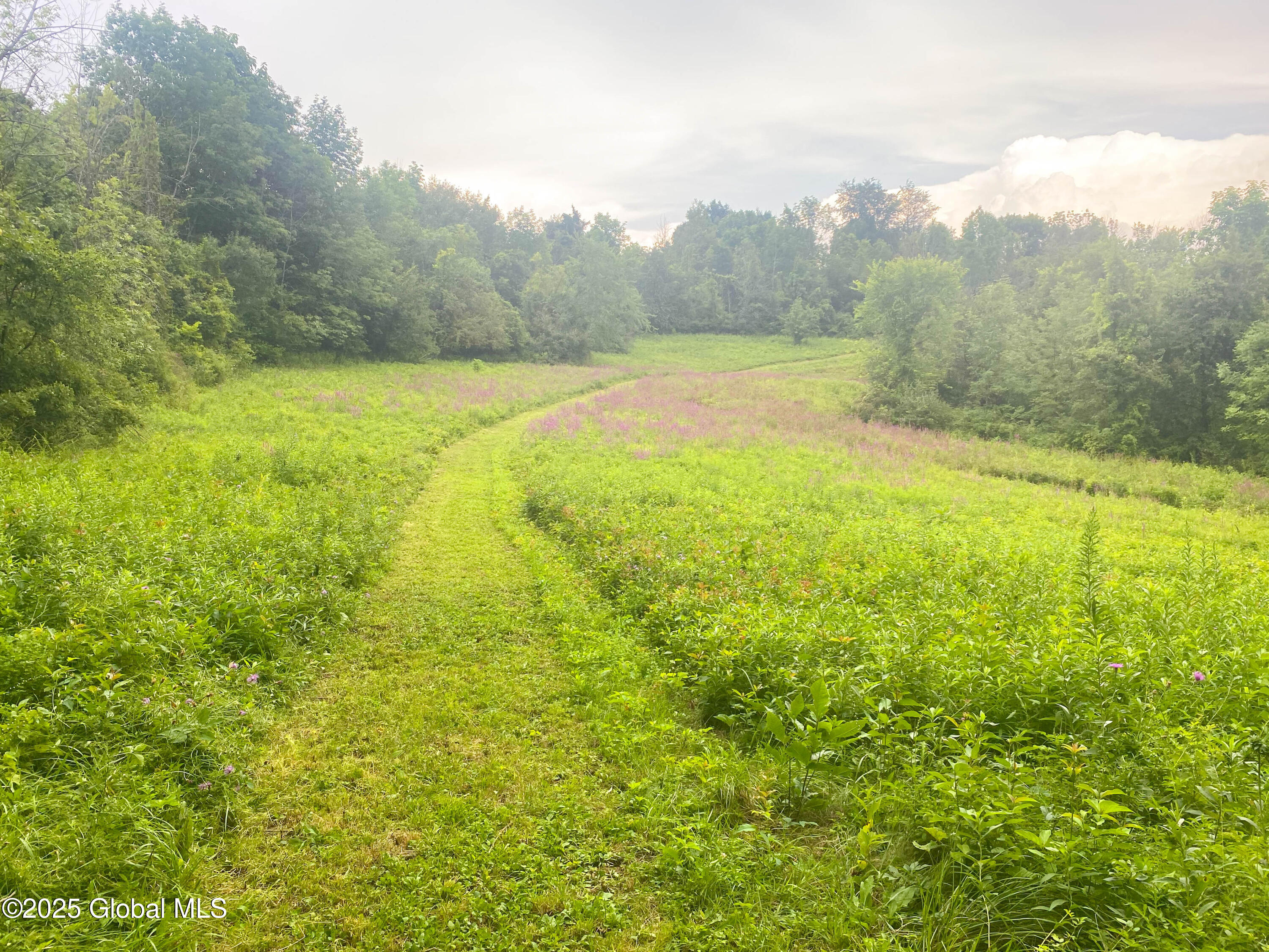 797 Western Road Schodack, NY 12033 - Photo 44 of 63 IMG_7362