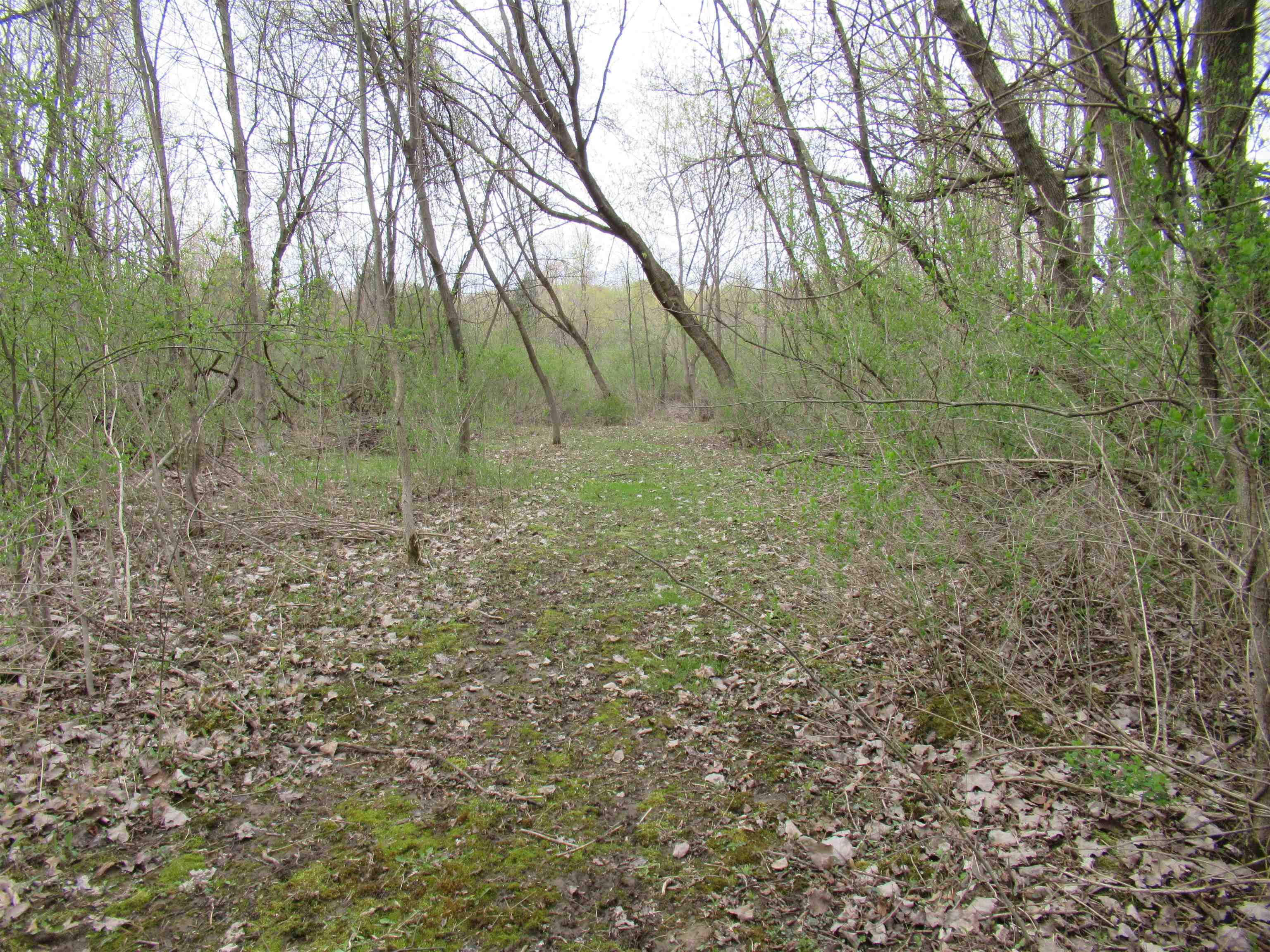 8292 Beecher Road Flushing, MI 48433 - Photo 42 of 54 50106803-41.JPG