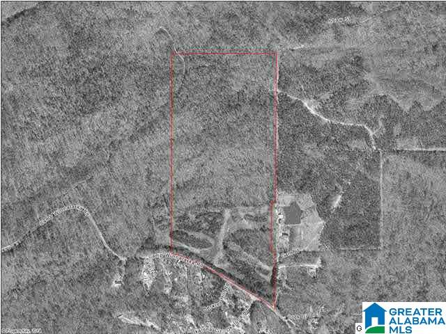Camp Winnataska Road, Unit 13 4 Pell City, AL 35125 - Photo 1 of 3