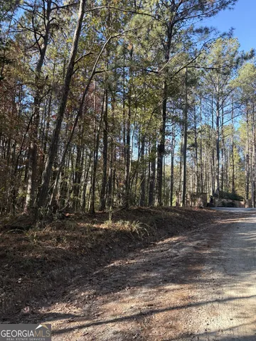 a view of a yard with a trees