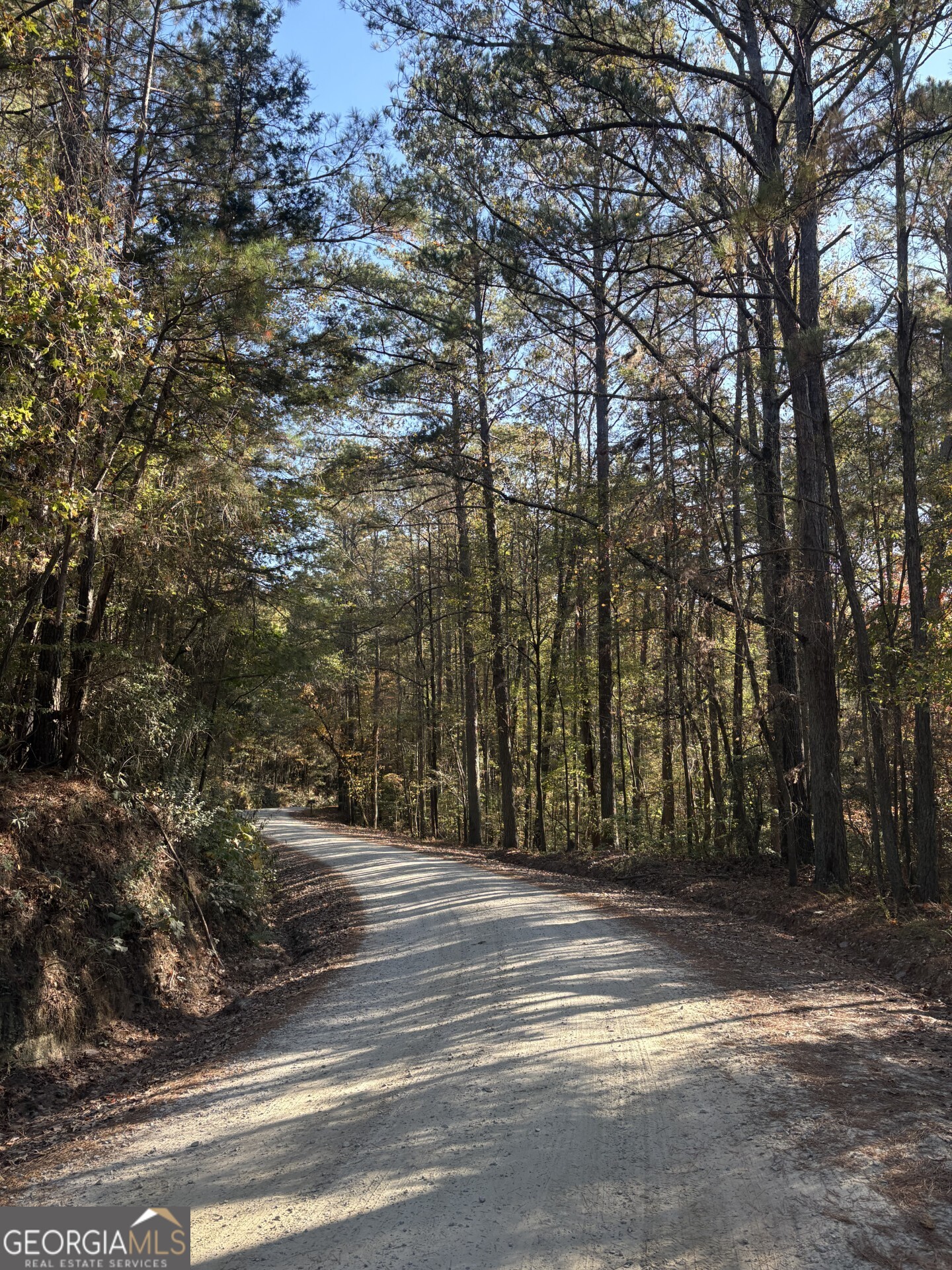 8839 Watkins Mill Road Winston, GA 30187 - Photo 6 of 7 a view of backyard with large trees