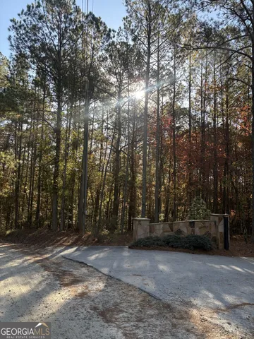 a view of outdoor space with lots of trees