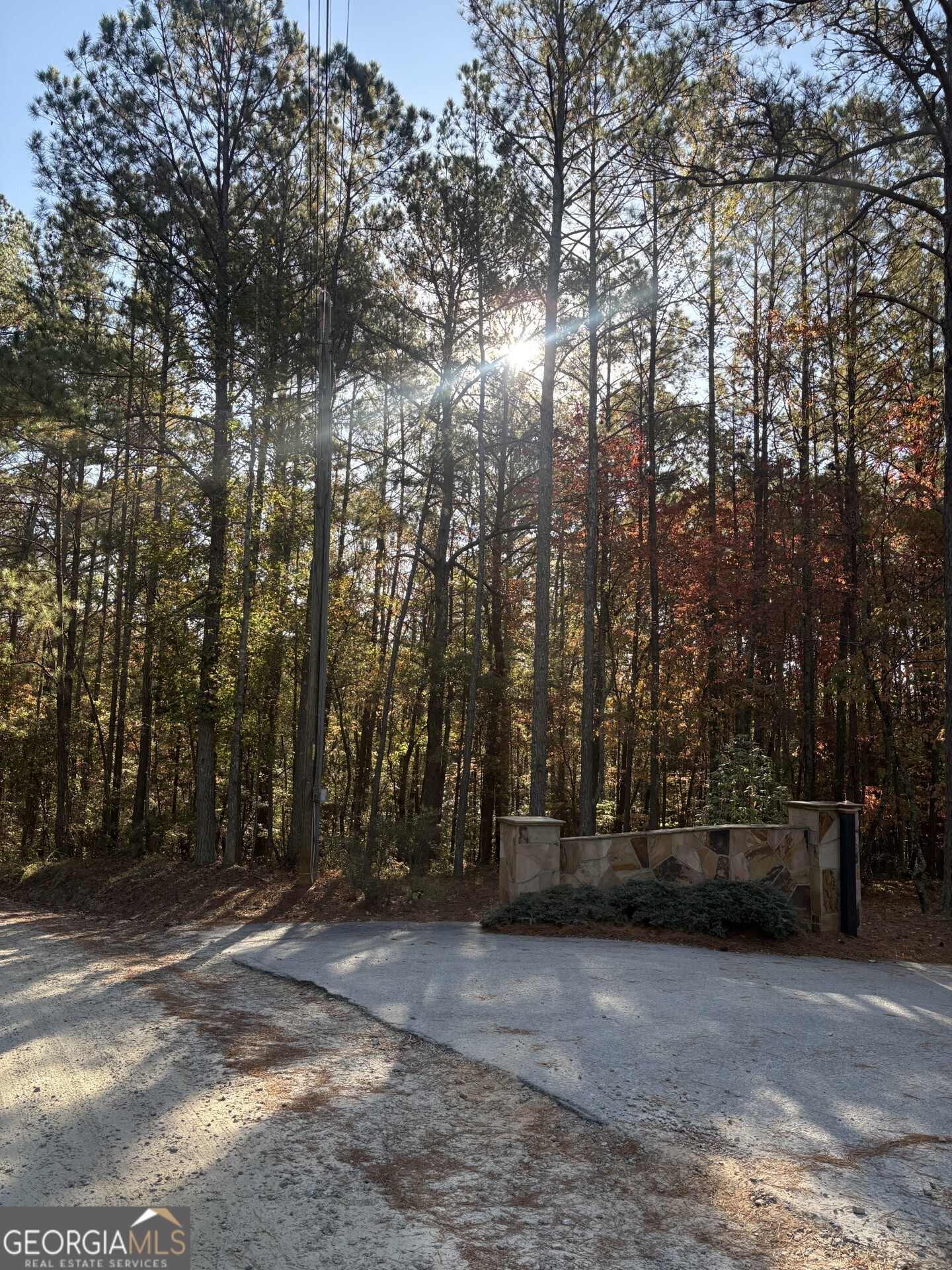 8839 Watkins Mill Road Winston, GA 30187 - Photo 7 of 7 a view of outdoor space with lots of trees