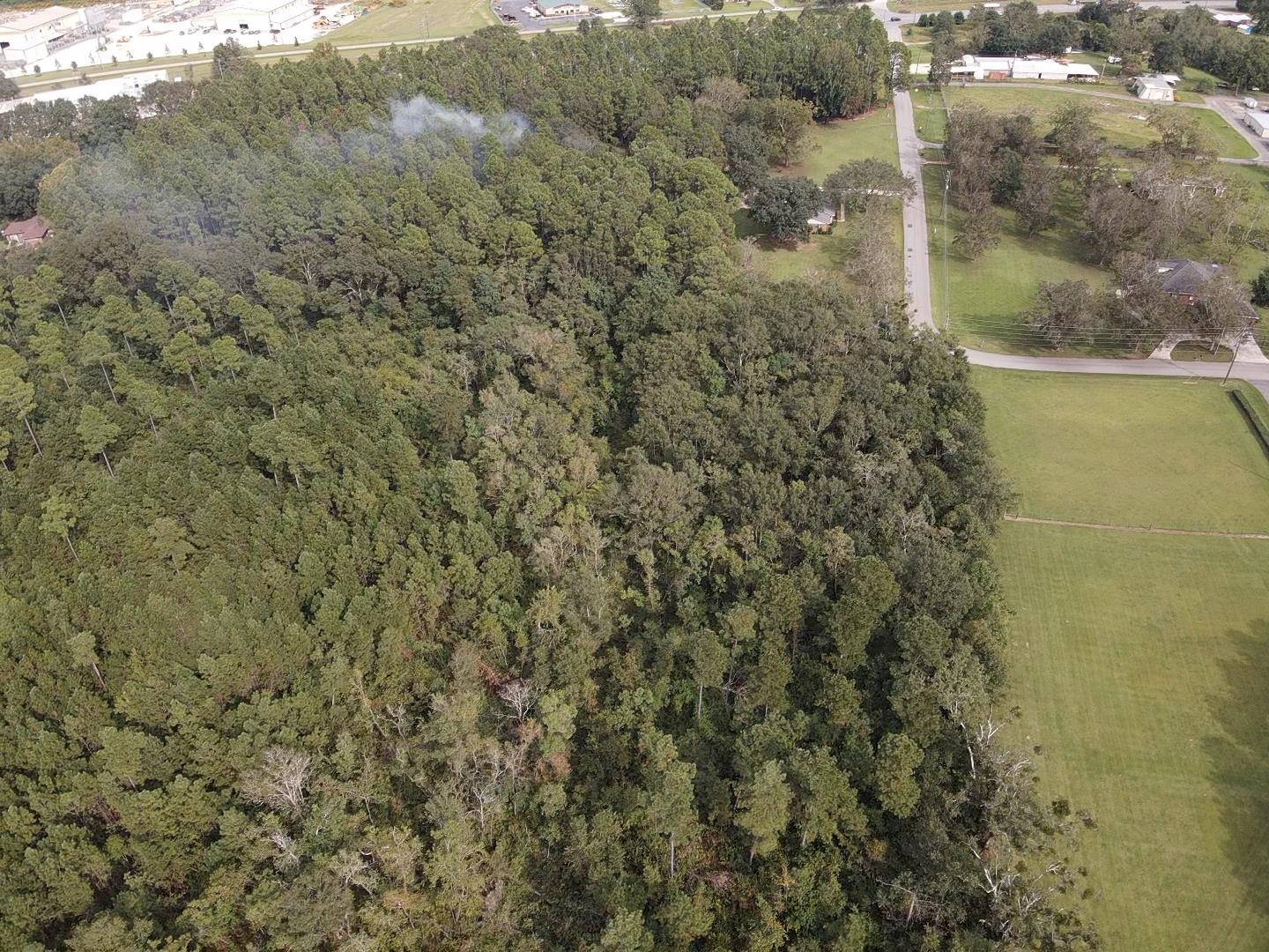 0 Dawson Road Loxley, AL 36551 - Photo 8 of 9