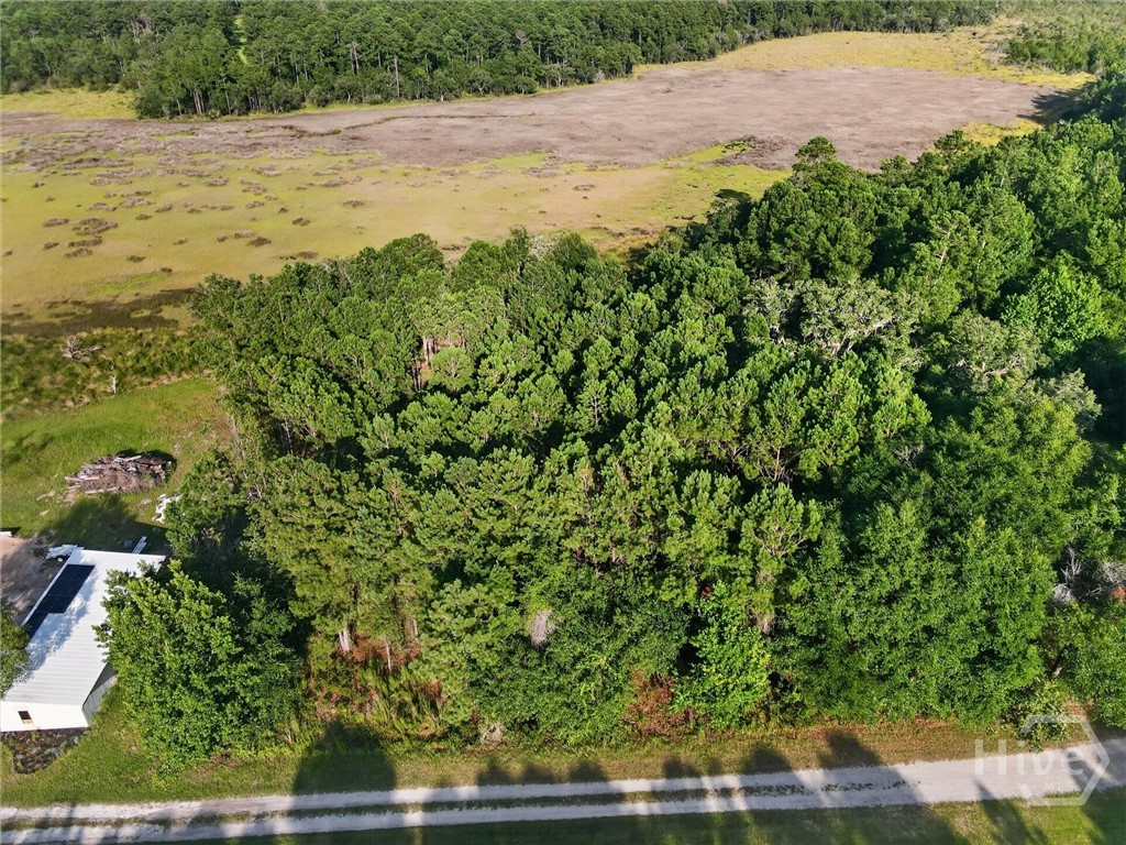 Lot #23 Barnstorm Road Northeast Townsend, GA 31331 - Photo 2 of 7