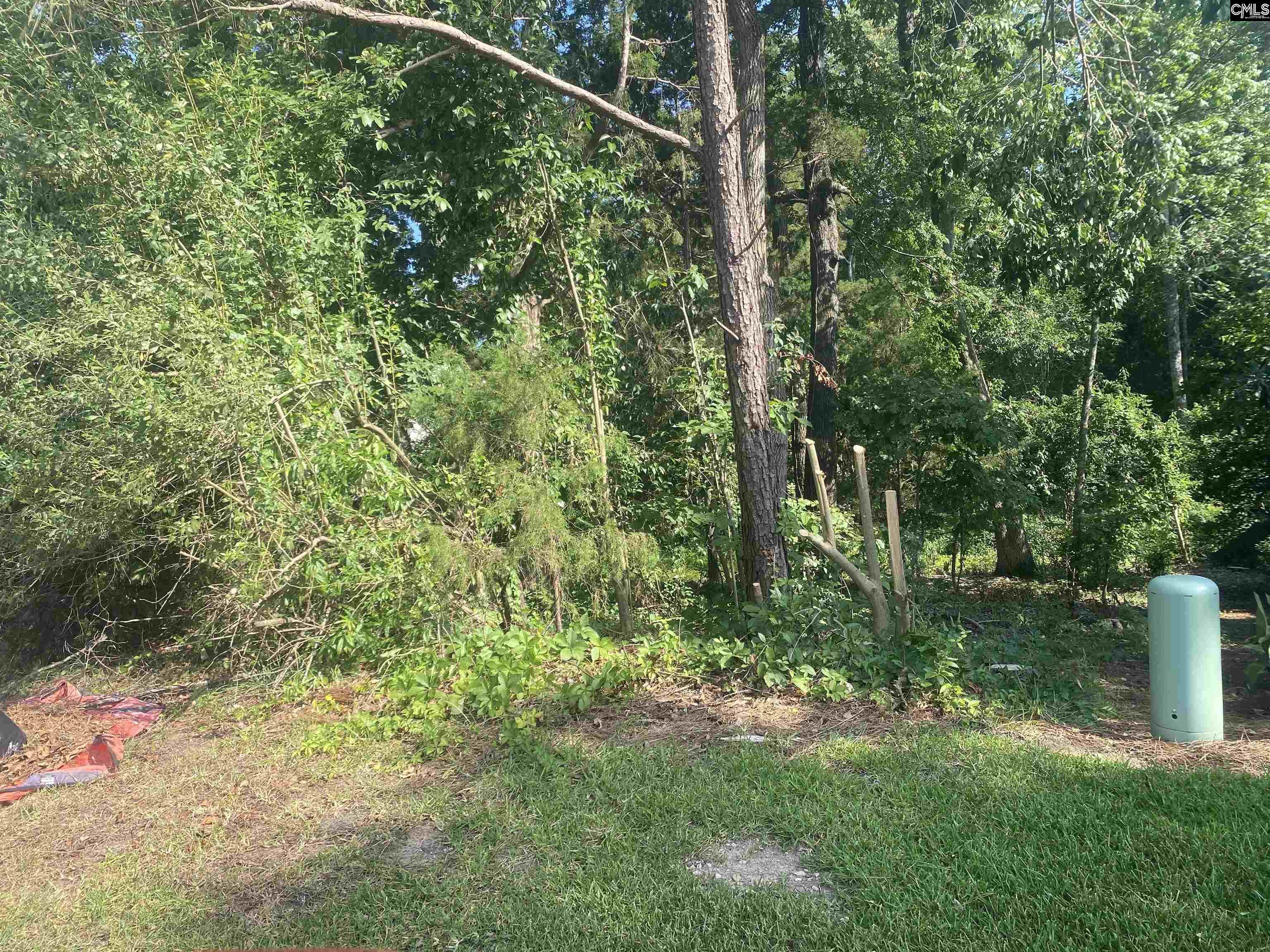 115 Beacon Point Road Irmo, SC 29063 - Photo 1 of 4