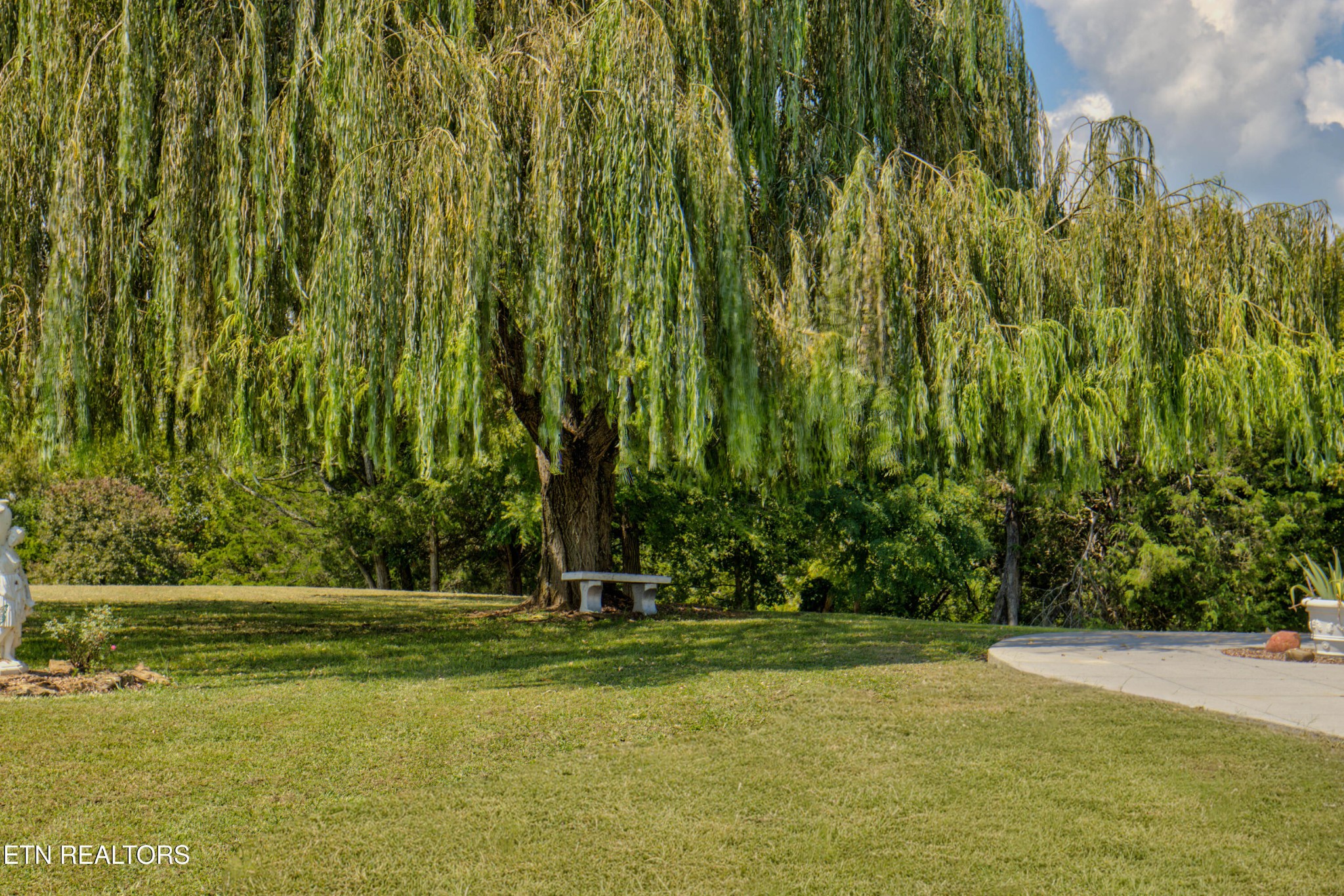110 Rankin Hill Road Newport, TN 37821 - Photo 42 of 58 Gallery Image 42