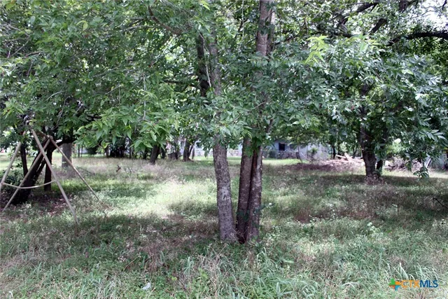 a view of outdoor space and yard