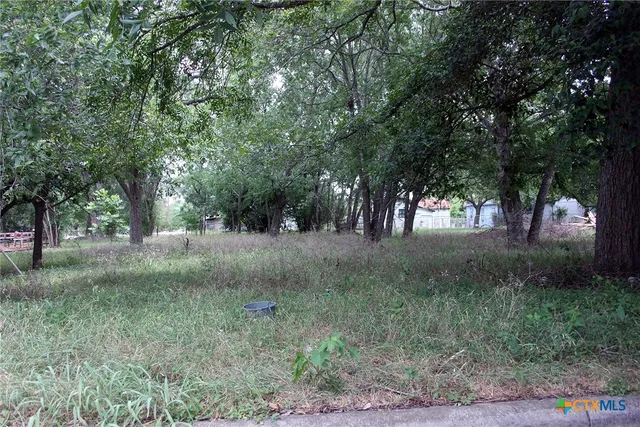 a view of outdoor space and trees