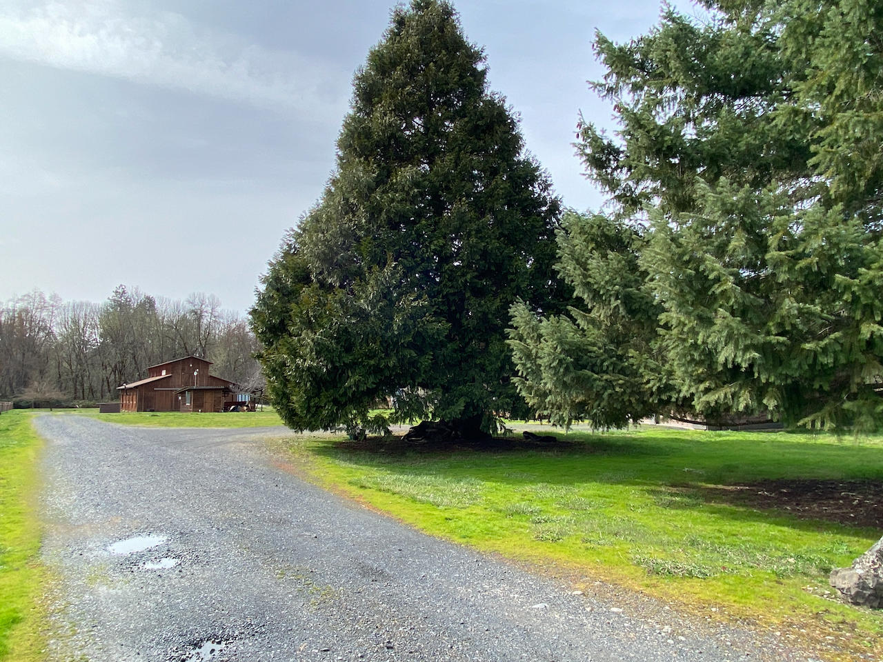 7440 Takilma Road Cave Junction, OR 97523 - Photo 34 of 36 driveway and barn