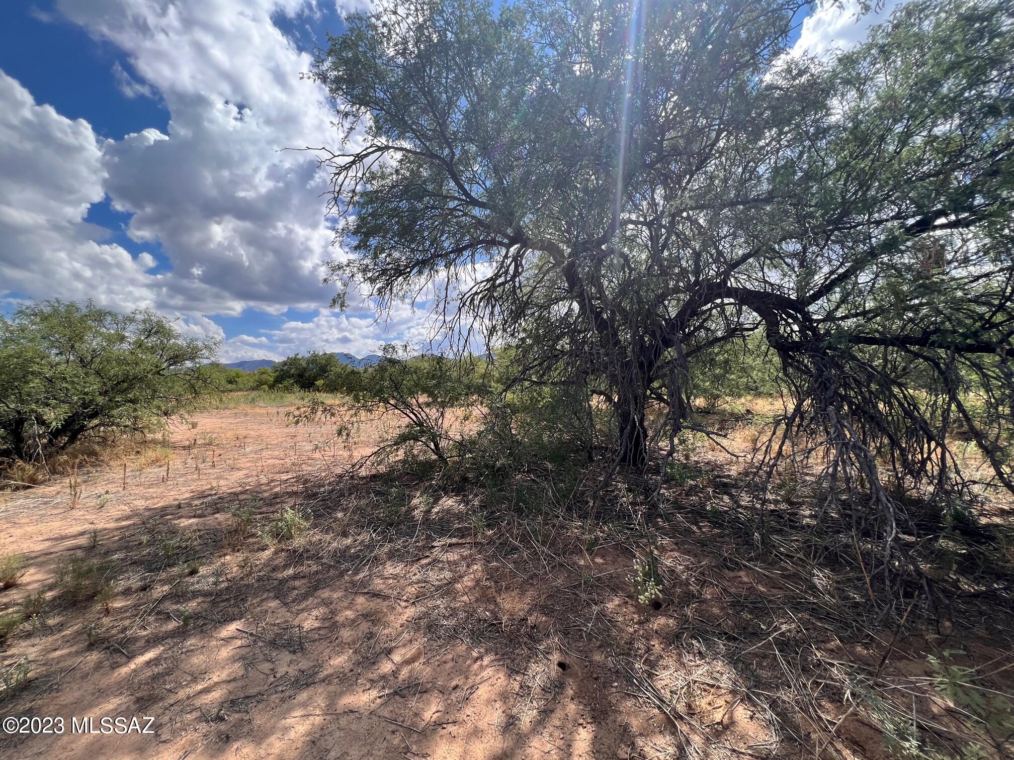 6.32-ac North Skyline Road, Unit 268 Pearce, AZ 85625 - Photo 6 of 17