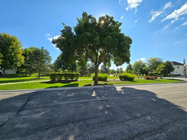 a view of a tennis ground with large trees