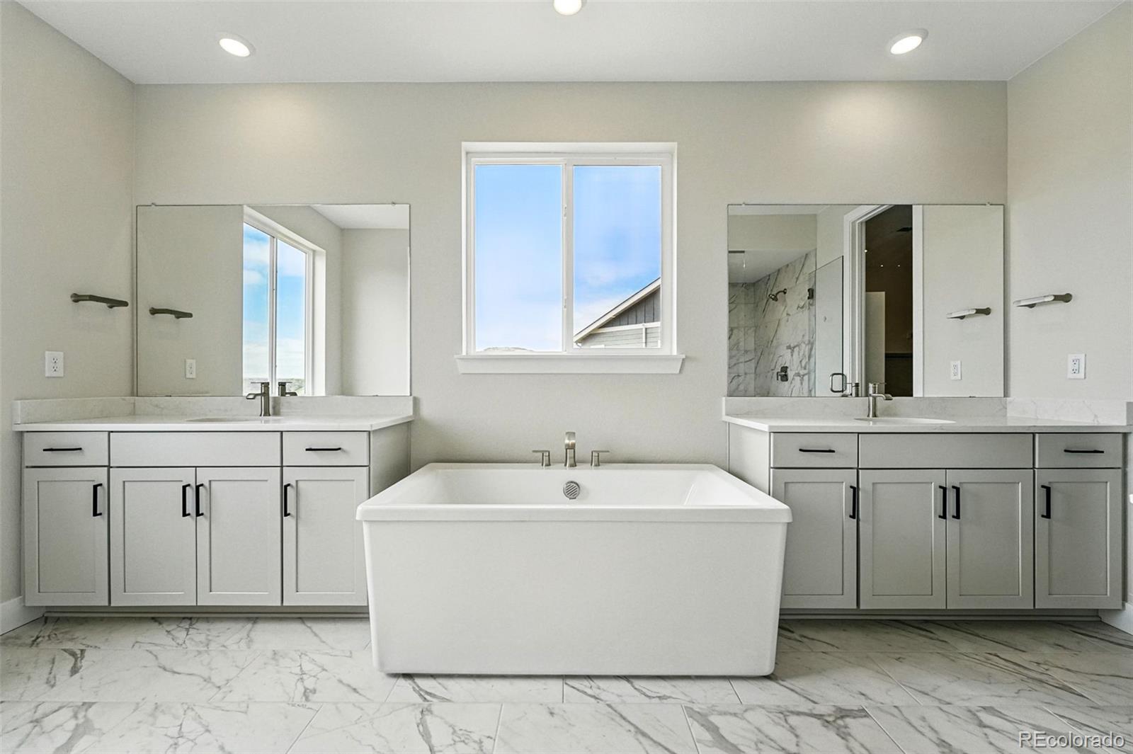 5722 Farrier Point Castle Rock, CO 80104 - Photo 22 of 41 a bathroom with a sink a vanity a mirror and a bathtub