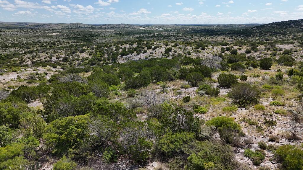 18797 Other Rocksprings, TX 78880 - Photo 24 of 31 Gallery Image 24