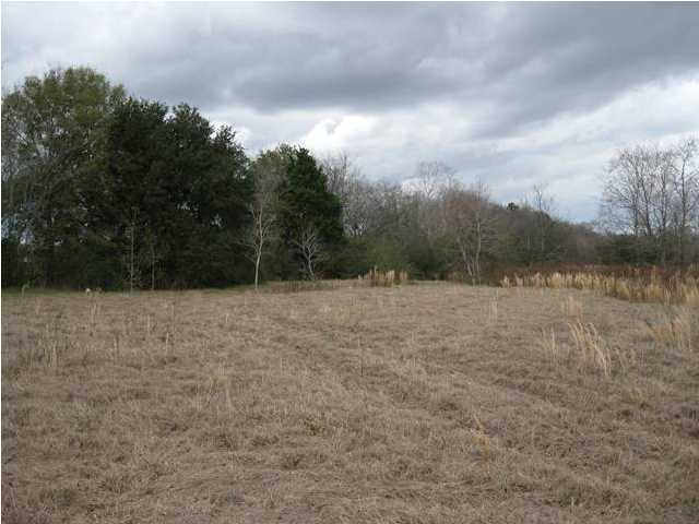 Choppys Road Church Point, LA 70525 - Photo 5 of 8 Additional Photo