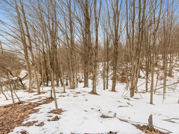 $195,000 | Elm Street, Frankfort, MI 49635