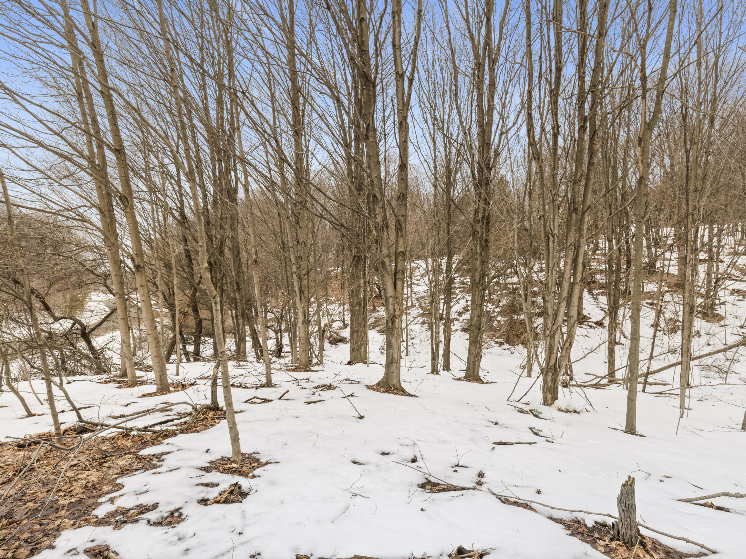 Elm Street Frankfort, MI 49635 - Photo 11 of 12 0S5A3134