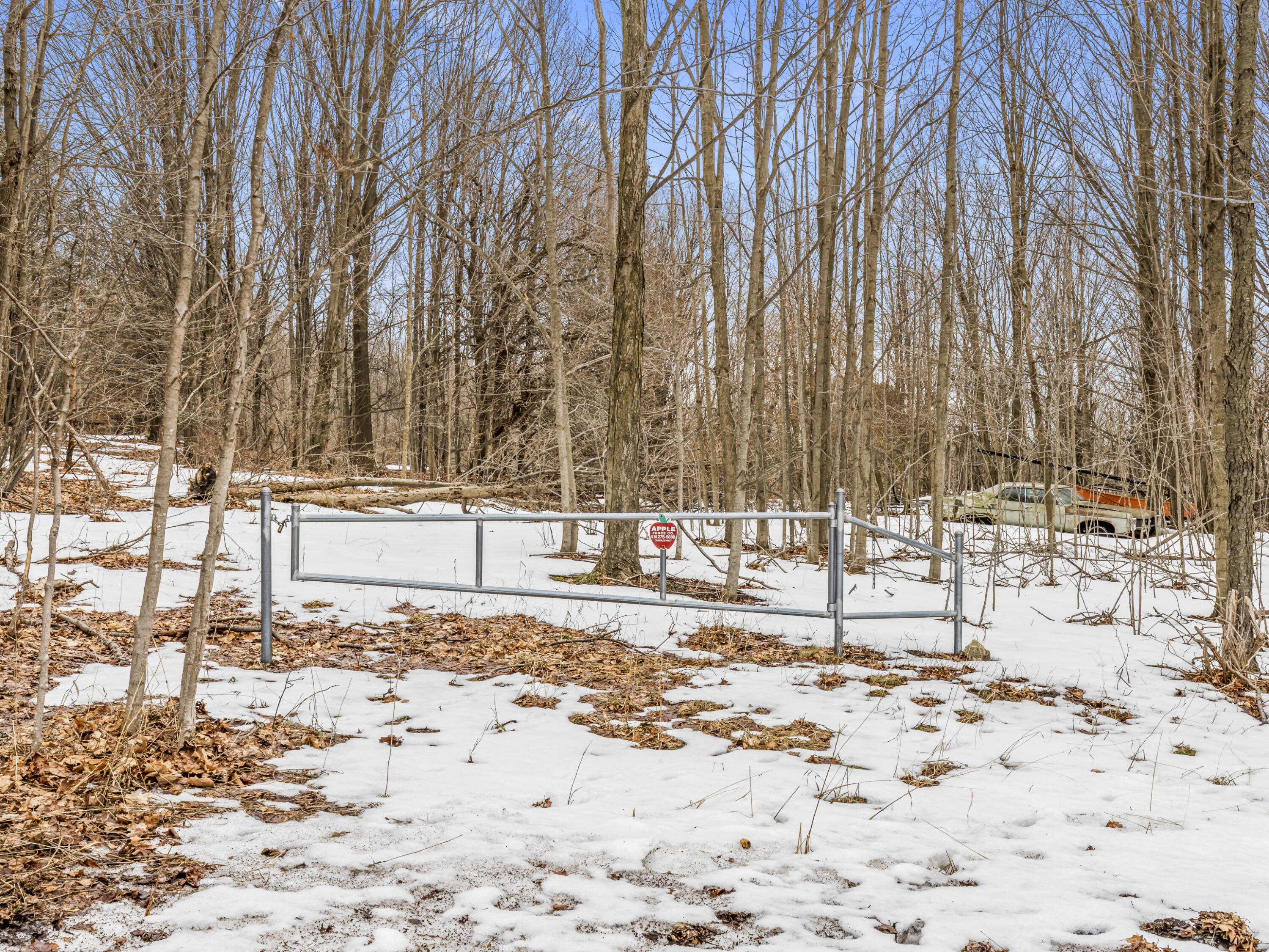 Elm Street Frankfort, MI 49635 - Photo 8 of 12 0S5A3119