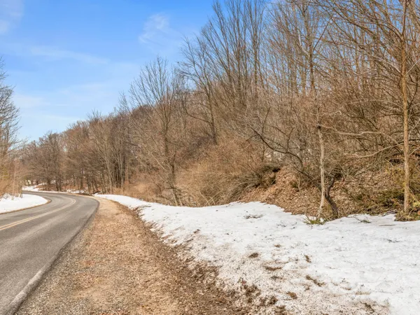 $195,000 | Elm Street, Frankfort, MI 49635