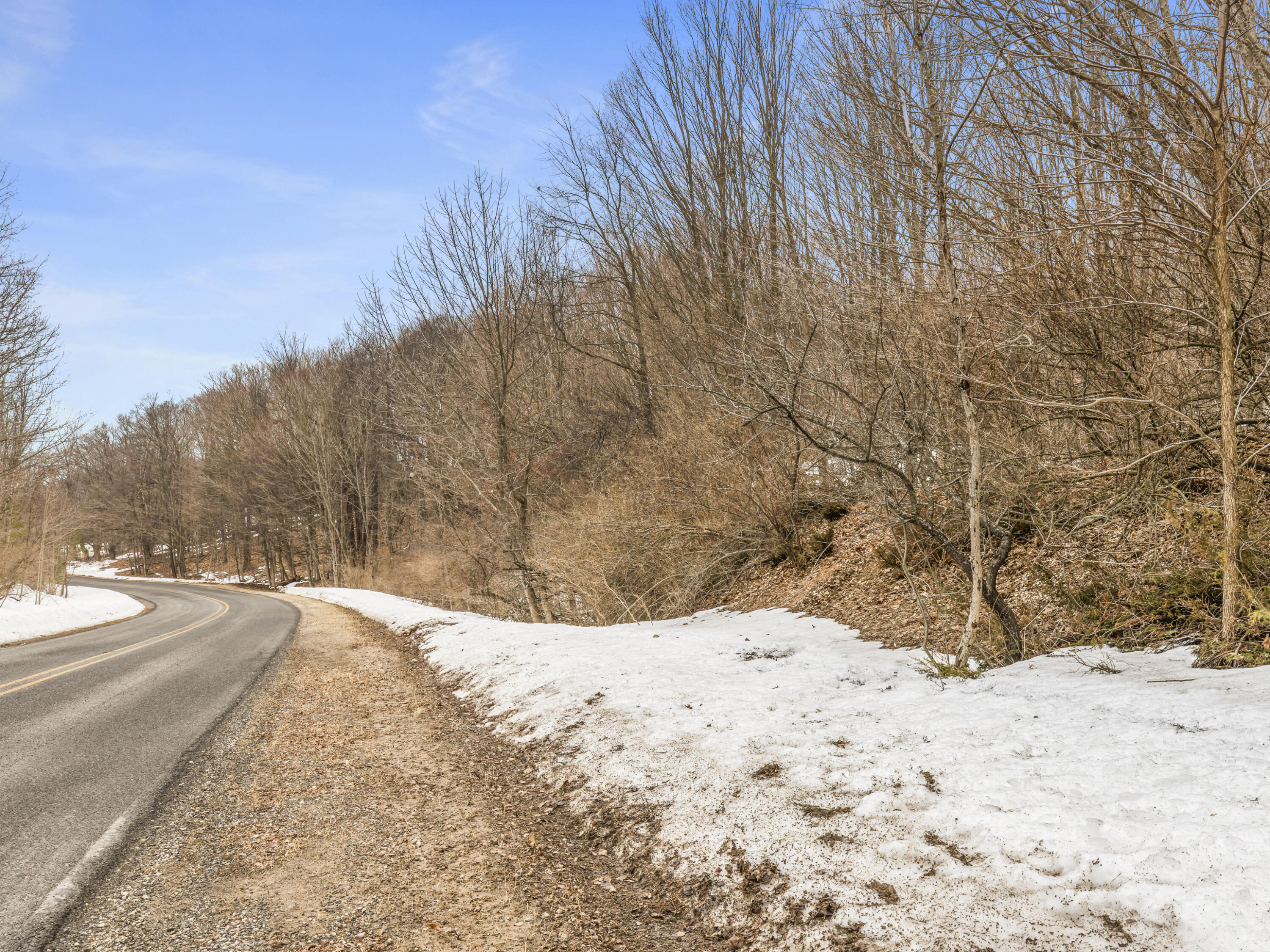 Elm Street Frankfort, MI 49635 - Photo 9 of 12 0S5A3124