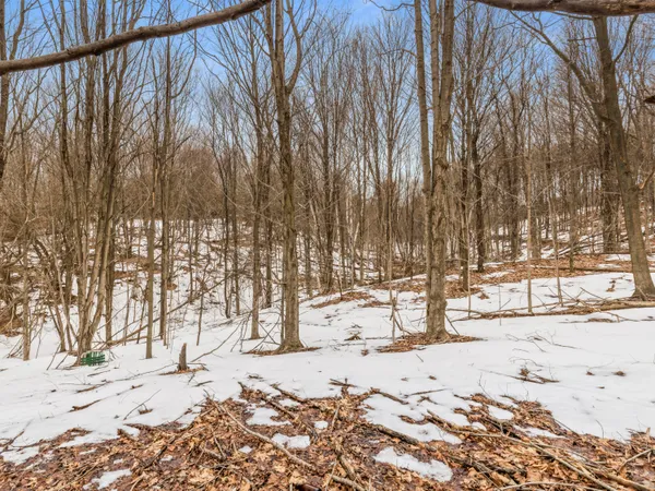 $195,000 | Elm Street, Frankfort, MI 49635