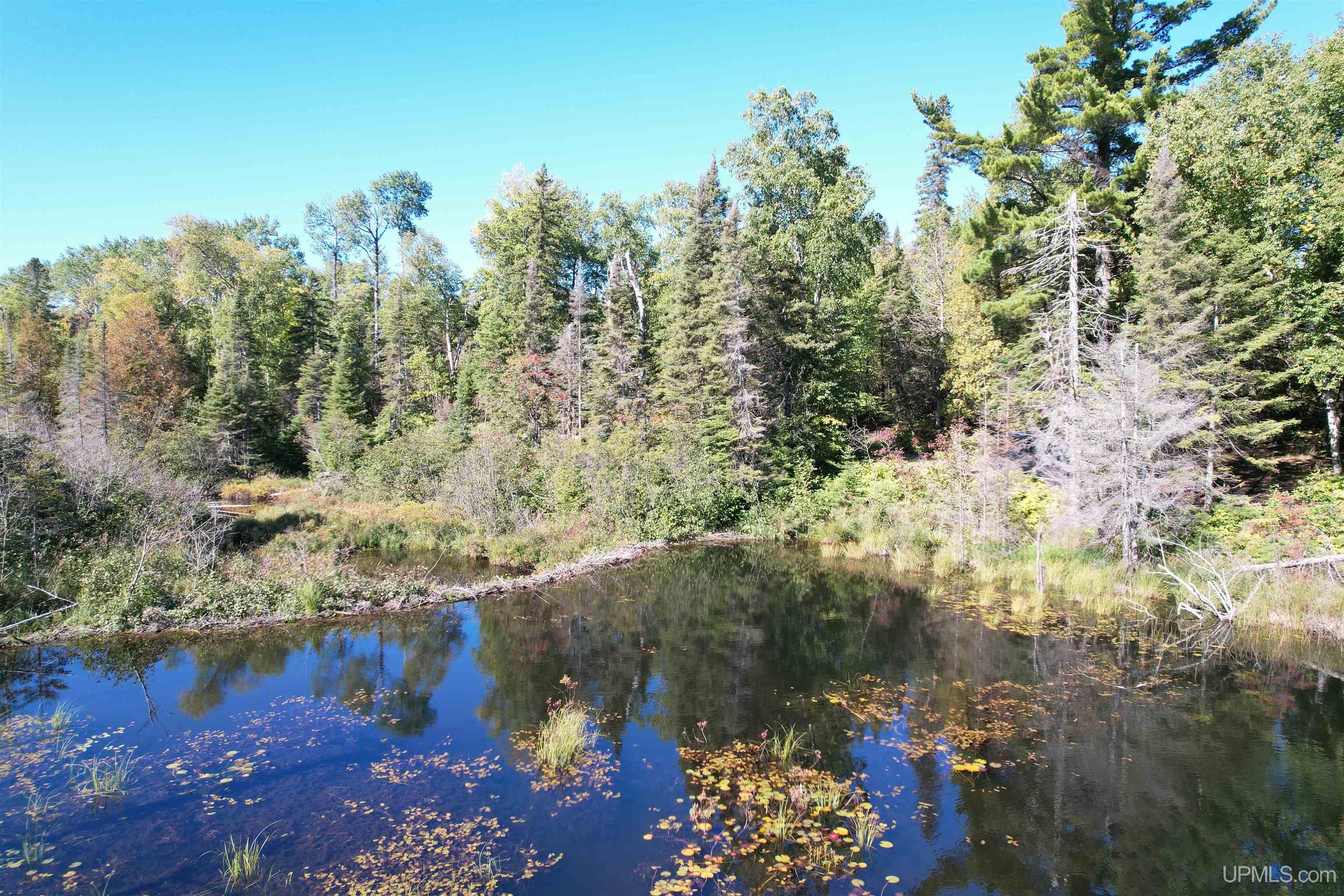 Tbd Mandan Road Copper Harbor, MI 49918 - Photo 3 of 15 Gallery Image 3