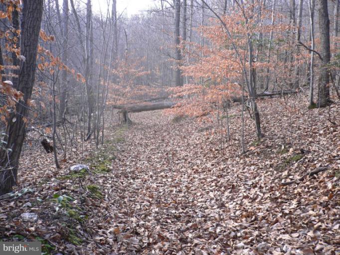 4754 Mt Zion Road Frederick, MD 21703 - Photo 1 of 11 a view of a yard