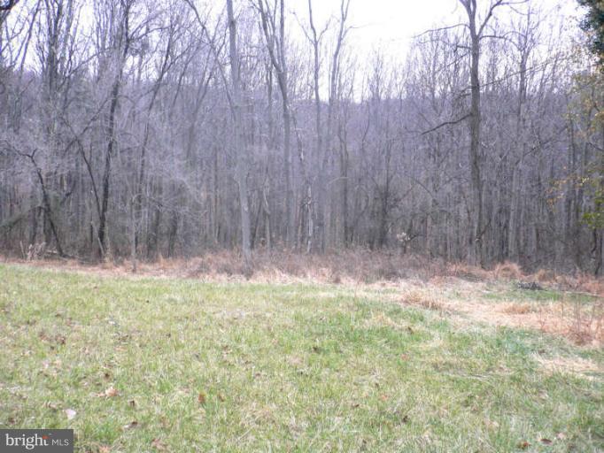 4754 Mt Zion Road Frederick, MD 21703 - Photo 2 of 11 a view of a yard with large trees