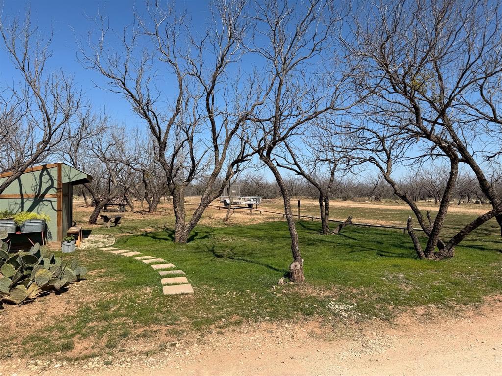 325 Mohawk Road Abilene, TX 79601 - Photo 36 of 40