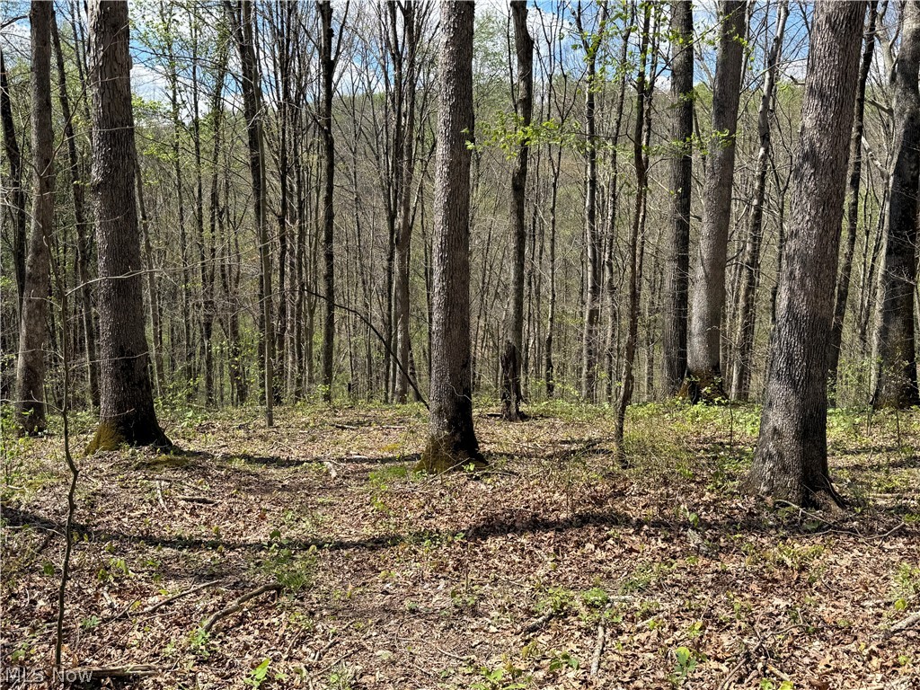 Plainview Road Woodsfield, OH 43793 - Photo 10 of 20