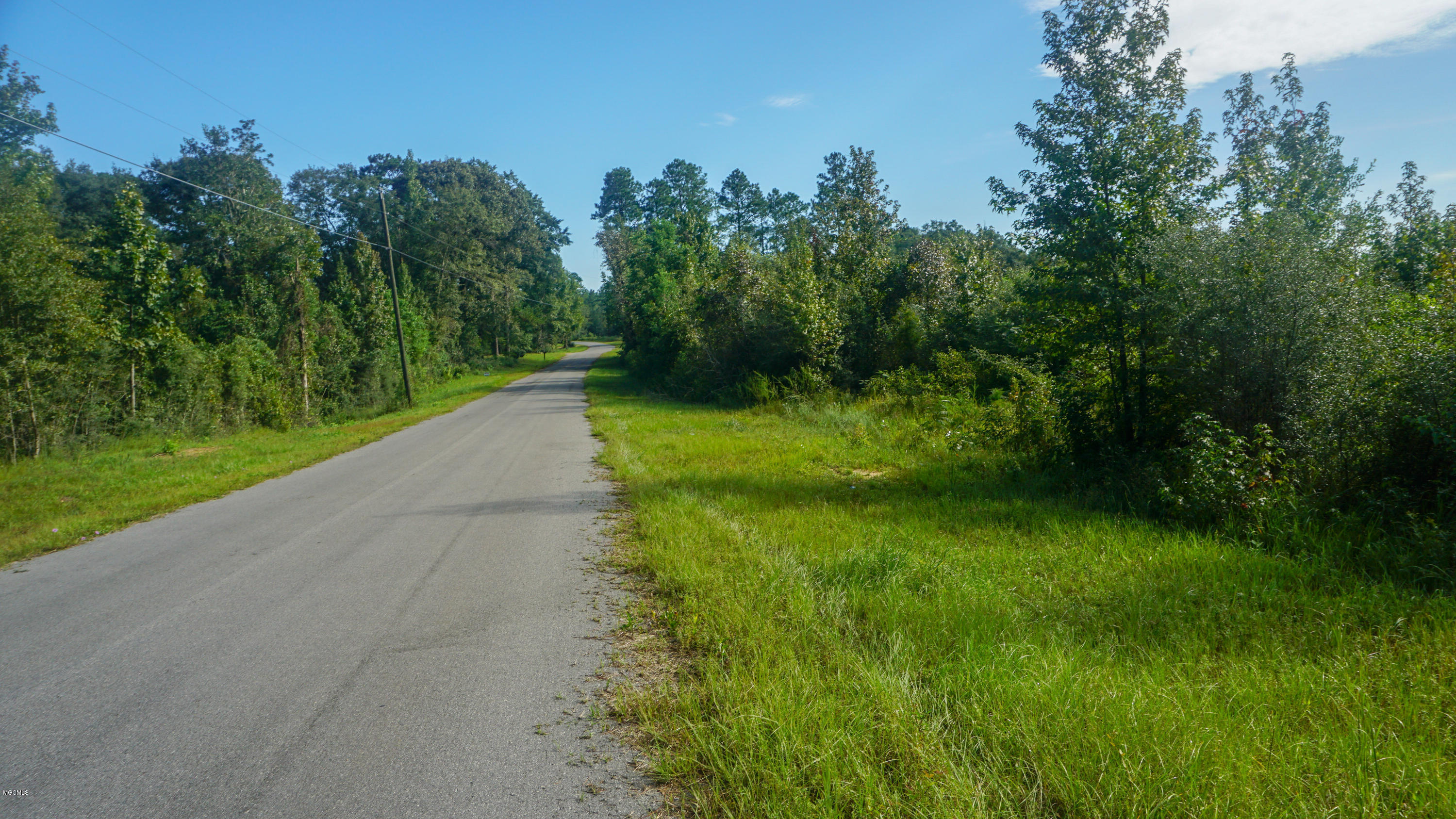 10-ac Country Hill Road Lucedale, MS 39452 - Photo 3 of 7 DSC06393-2