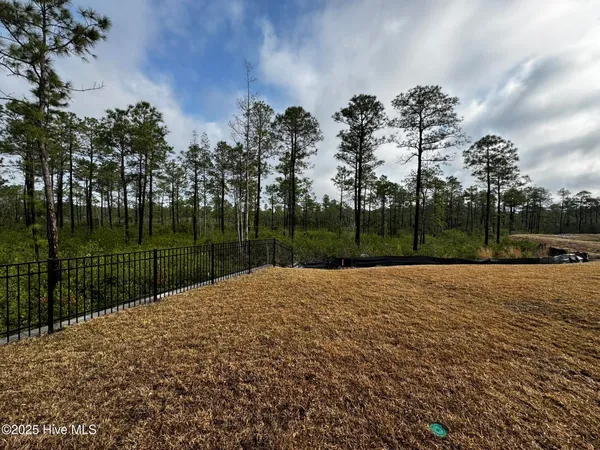 $2,195 | 2084 Willowleaf Drive, Leland, NC 28451