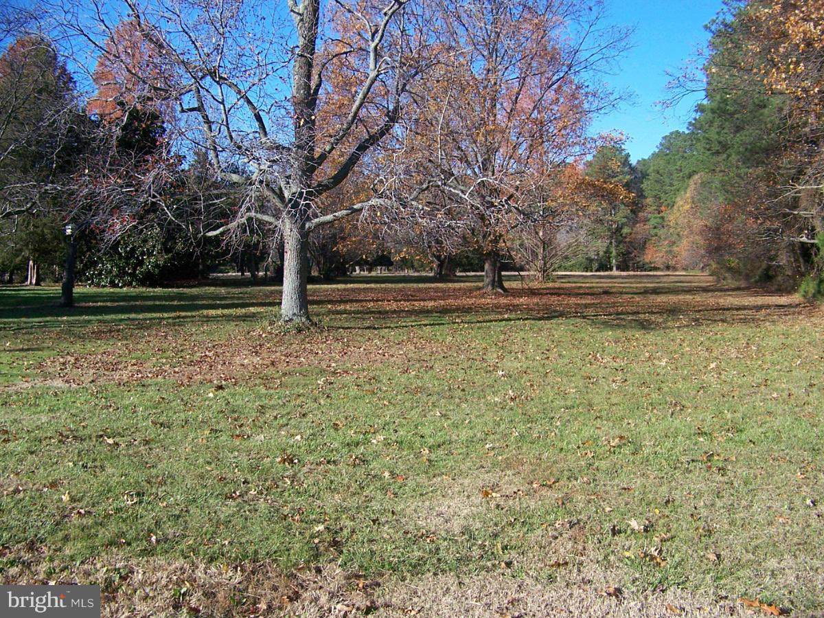 7798 Quaker Neck Road Bozman, MD 21612 - Photo 17 of 30 View