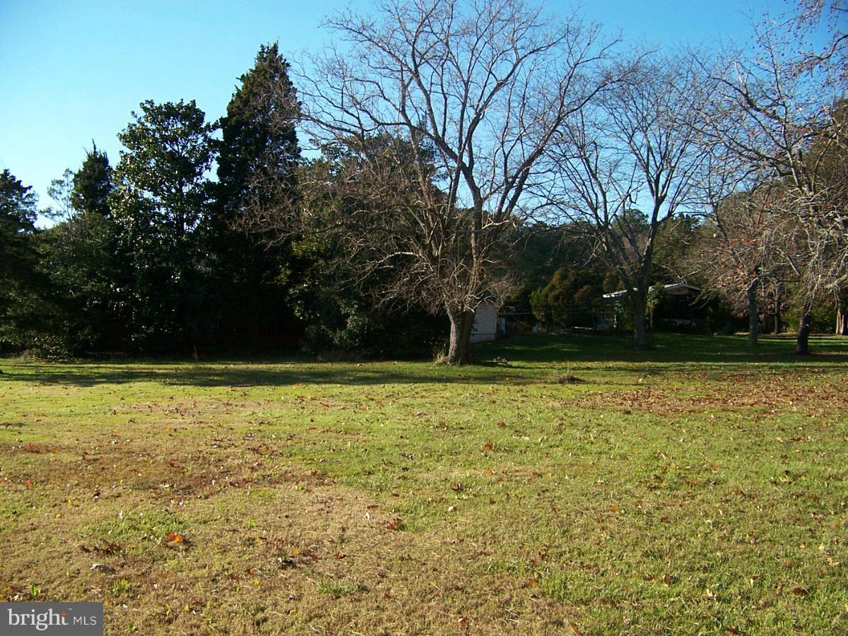 7798 Quaker Neck Road Bozman, MD 21612 - Photo 18 of 30 View