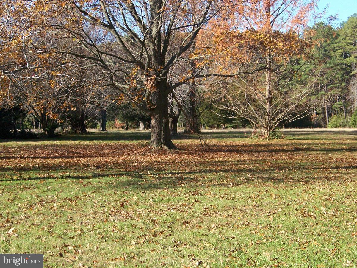 7798 Quaker Neck Road Bozman, MD 21612 - Photo 19 of 30 View