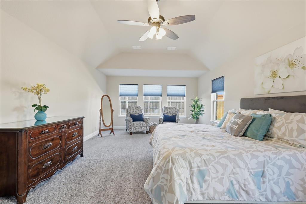 4609 Jasmine Trail Midlothian, TX 76065 - Photo 21 of 34 Bedroom with ceiling fan, carpet, and lofted ceiling