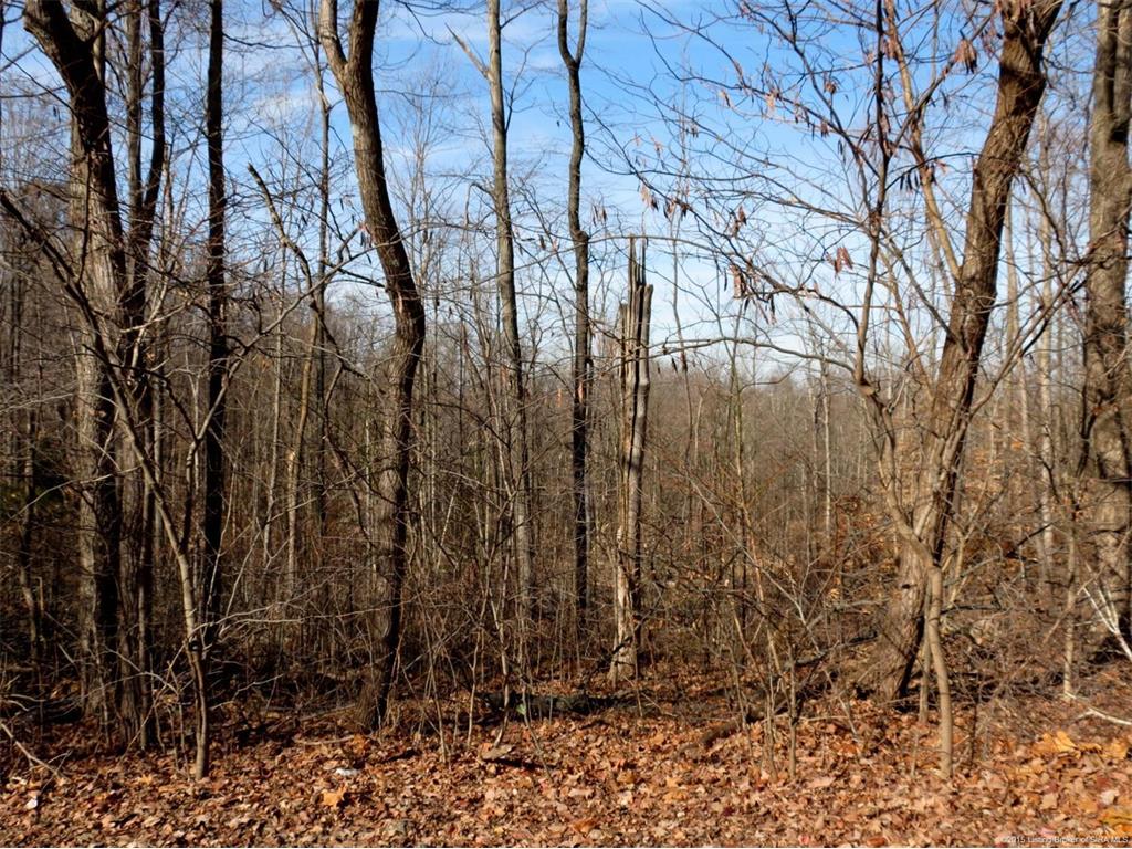 0 Old Lanesville Road Georgetown, IN 47122 - Photo 5 of 8