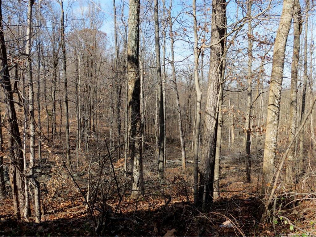 0 Old Lanesville Road Georgetown, IN 47122 - Photo 6 of 8
