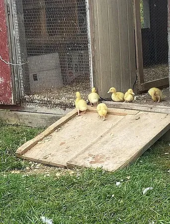 $445,000 | 8433 Rolling, Jeddo, MI 48032