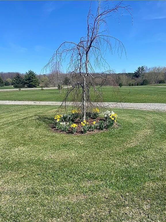 8433 Rolling Jeddo, MI 48032 - Photo 16 of 37 Image 15