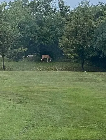 $445,000 | 8433 Rolling, Jeddo, MI 48032