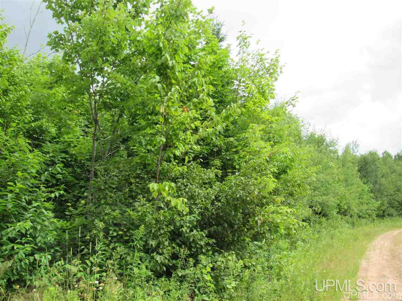 120 A Donken-tapiola Road Hancock, MI 49931 - Photo 11 of 14