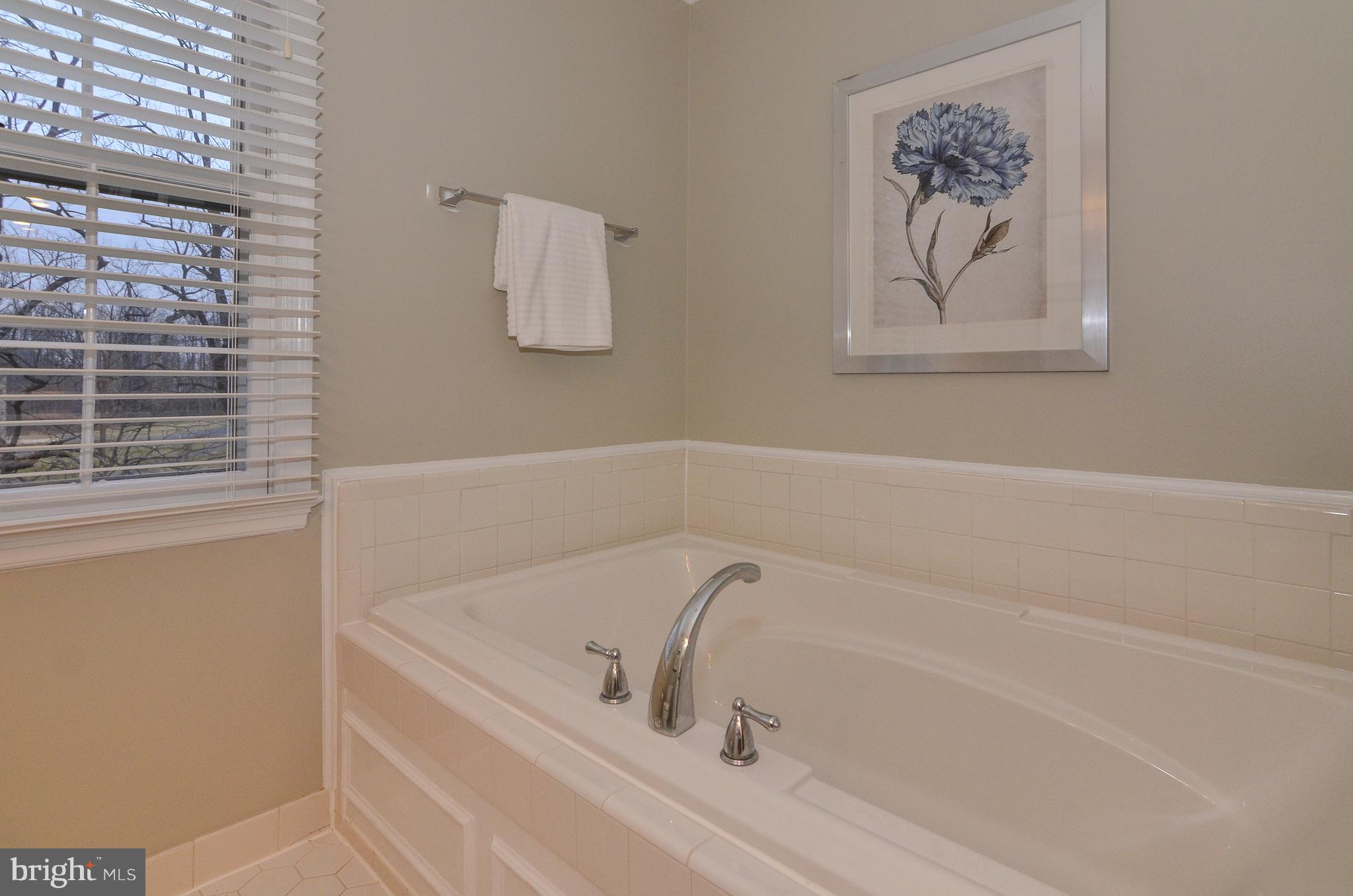 9712 Spring Ridge Lane Vienna, VA 22182 - Photo 34 of 46 Soaking tub in masterbath