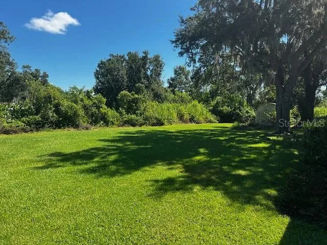 a view of a grassy field with trees